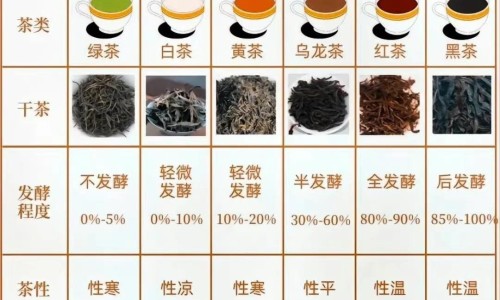 营养科看什么病-营养科挂什么号网 | 营养科看什么病,营养科挂号挂什么